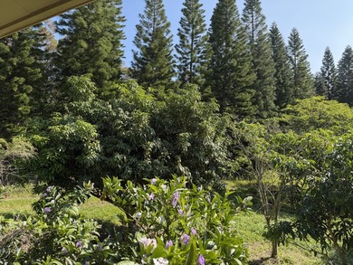 Ohana Mac Nut, LLC, income producing, eco-friendly Macadamia Nut - photo 18