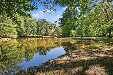 ONE OF A KIND property situated on 3.36 ACRES with your own - photo 27