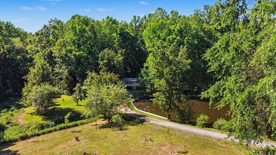 ONE OF A KIND property situated on 3.36 ACRES with your own - photo 29