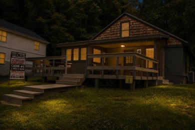 Cabin #4 - 3 Bedroom, 2 Bathroom, 1200 sqft. - photo 3