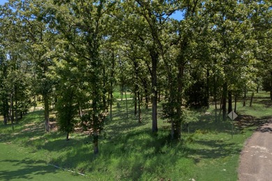 Build your dream home in the prestigious Pinnacle Club, one of - photo 6
