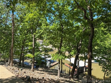 Deep water. Cove protection. Private dock. This rare 5-bedroom - photo 13
