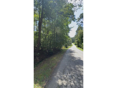 Lake Acreage For Sale in Villa Rica, Georgia