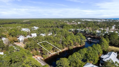 (private lake, pond, creek ) Lot For Sale in Santa Rosa Beach Florida