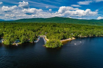 Lake Winnipesaukee Lot For Sale in Moultonborough New Hampshire