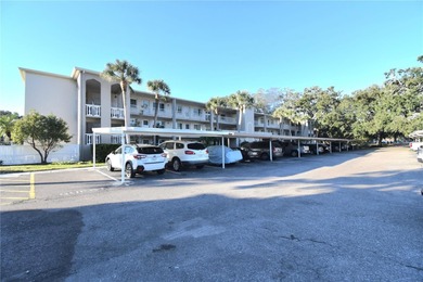 (private lake, pond, coastal) Condo For Sale in Dunedin Florida