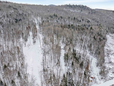 Connecticut River Acreage For Sale in Columbia New Hampshire