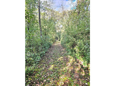Exceptional Private Estate on 49 Pristine Wooded Acres Featuring - photo 15