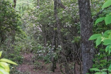 Lake Lot For Sale in Dillard, Georgia
