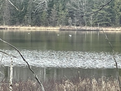 Lake Acreage Sale Pending in Laona T-WI, Wisconsin