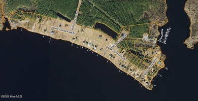 RARE OPPORTUNITY to purchase a waterfront home in the Dowry - photo 44
