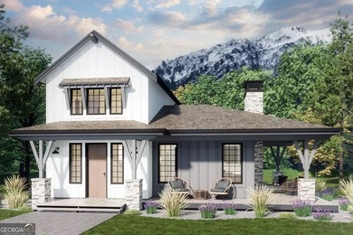 Toccoa River - Fannin County Home For Sale in Blue Ridge Georgia