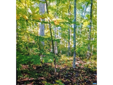 (private lake, pond, coastal) Lot For Sale in Louisa Virginia