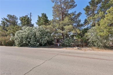 Discover a rare 3.21-acre estate at 55 Siddall Ave, located - photo 7