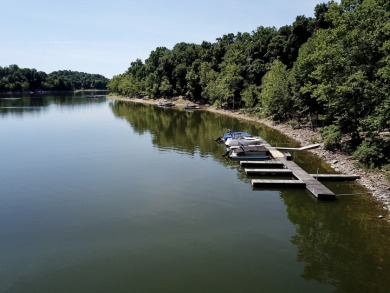 Waterfront Home, dock with a large shop across the street - photo 3