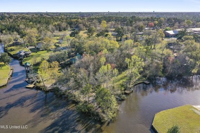 Great 0.25-acre waterfront lot in the Panoramic Acres - photo 13