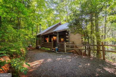 (private lake, pond, creek) Home For Sale in Ellijay Georgia