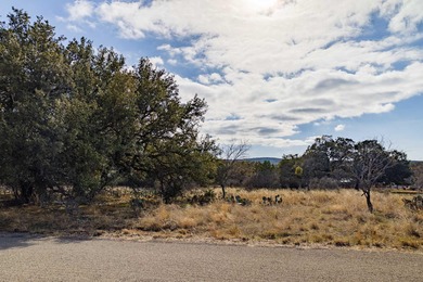 WOW the Views! Lovely Flat Lot 20 & 21, Almost 1.5 Acres - photo 18