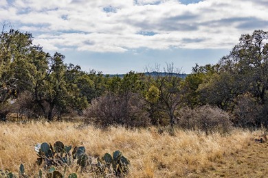 WOW the Views! Lovely Flat Lot 20 & 21, Almost 1.5 Acres - photo 19
