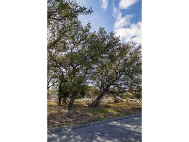 WOW the Views! Lovely Flat Lot 20 & 21, Almost 1.5 Acres - photo 20