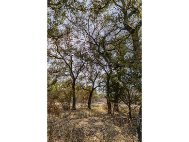 WOW the Views! Lovely Flat Lot 20 & 21, Almost 1.5 Acres - photo 21