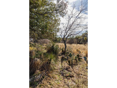 WOW the Views! Lovely Flat Lot 20 & 21, Almost 1.5 Acres - photo 22