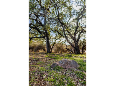 WOW the Views! Lovely Flat Lot 20 & 21, Almost 1.5 Acres - photo 23