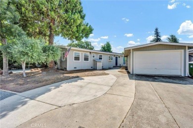 Lake Home For Sale in Clearlake Oaks, California