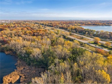 Amelia Lake Acreage For Sale in Lino Lakes Minnesota