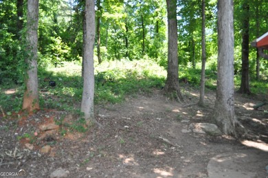 STOP! STOP! Oh what a retreat this would be. This property is - photo 20