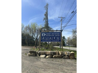 Welcome to 401 Lake Street -- a warm and inviting Adirondack - photo 49