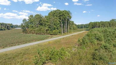 Weiss Lake Acreage For Sale in Centre Alabama