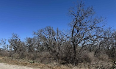 Lake LBJ Lot For Sale in Kingsland Texas