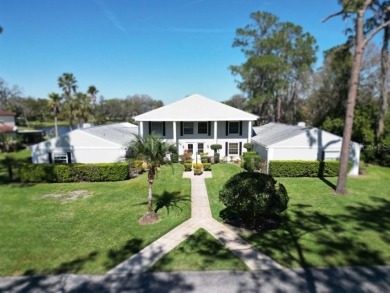 (private lake, pond, creek) Townhome/Townhouse For Sale in Wesley Chapel Florida