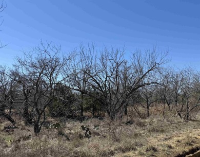 Lake LBJ Lot For Sale in Kingsland Texas
