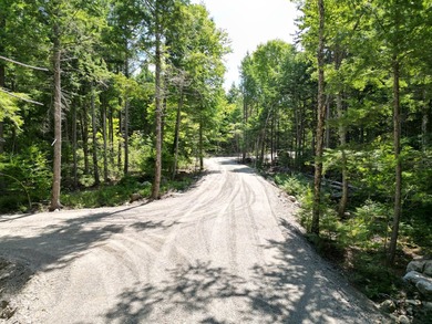 Possible owner financing available! Discover the perfect blend - photo 2