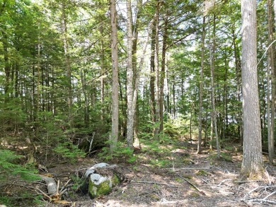 Possible owner financing available! Discover the perfect blend - photo 5