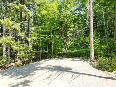 Possible owner financing available! Discover the perfect blend - photo 9