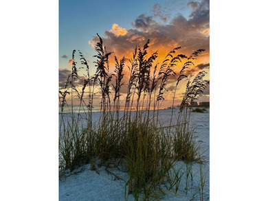 Located one block from Crystal beach and move-in ready...a - photo 41
