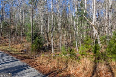 Exceptional Mountain Homesite Near Carters Lake - North Georgia - photo 2