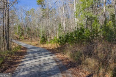 Exceptional Mountain Homesite Near Carters Lake - North Georgia - photo 3