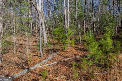 Exceptional Mountain Homesite Near Carters Lake - North Georgia - photo 4