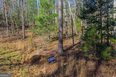 Exceptional Mountain Homesite Near Carters Lake - North Georgia - photo 5
