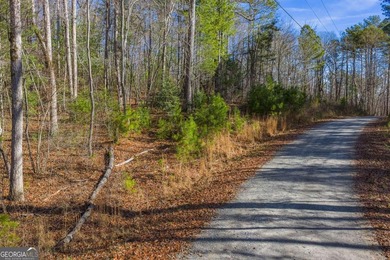 Exceptional Mountain Homesite Near Carters Lake - North Georgia - photo 6