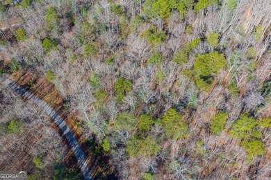 Exceptional Mountain Homesite Near Carters Lake - North Georgia - photo 7