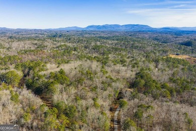 Exceptional Mountain Homesite Near Carters Lake - North Georgia - photo 8