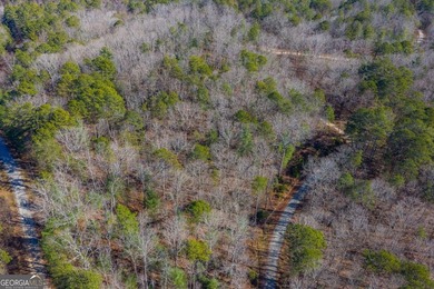 Exceptional Mountain Homesite Near Carters Lake - North Georgia - photo 9