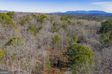 Exceptional Mountain Homesite Near Carters Lake - North Georgia - photo 10