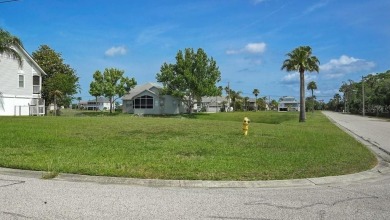 PRICE IMPROVEMENT $63,500. RARE FIND IN HERNANDO BEACH - HURRY! - photo 2