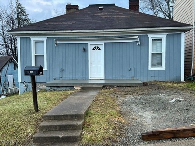 Ohio River Home For Sale in Mingo Junction Ohio